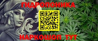 apvp Набережные Челны