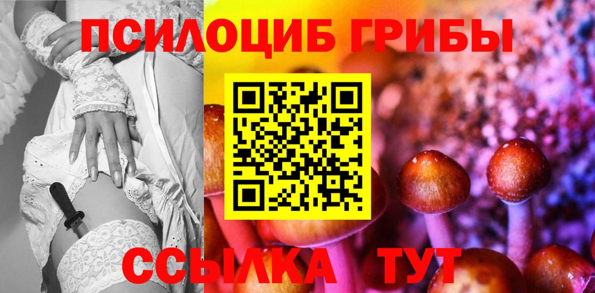 Галлюциногенные грибы GOLDEN TEACHER Новозыбков