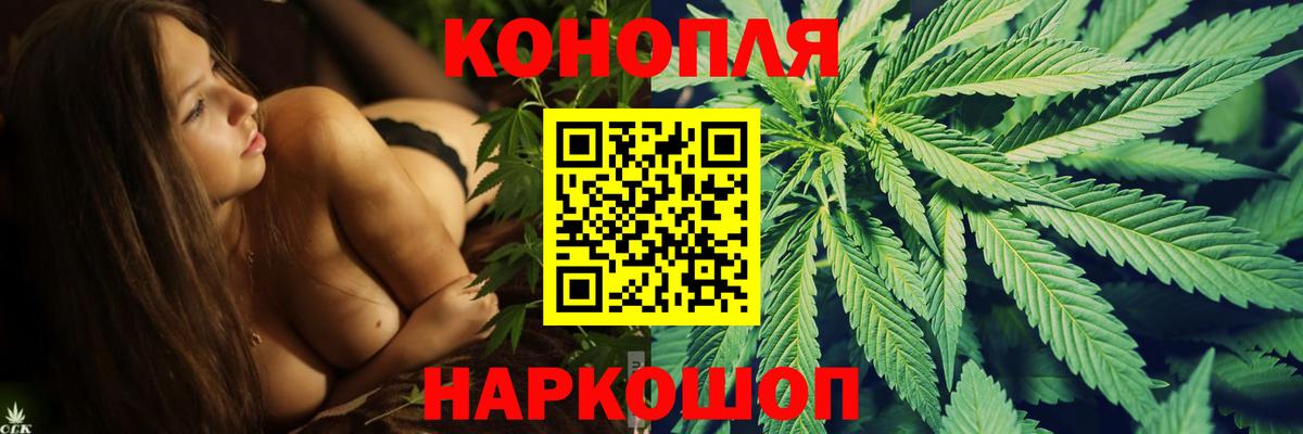 Шишки марихуана Amnesia  Вход с VPN  Шишки марихуана VHQ  Новозыбков  Каннабис планчик  Конопля VHQ 