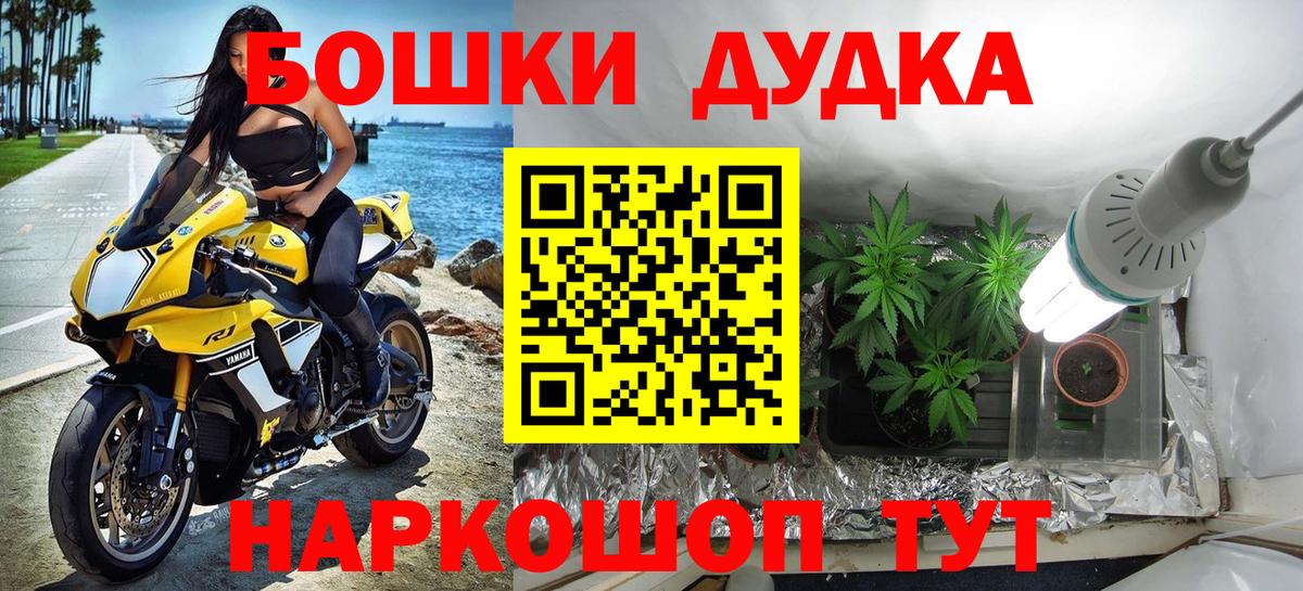 Каннабис гибрид Новозыбков